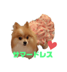 コロ助ハウス（個別スタンプ：23）
