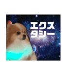 コロ助ハウス（個別スタンプ：31）