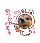 ふーちゃんスタンプ0701vol.2（個別スタンプ：3）