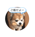 ふーちゃんスタンプ0701vol.2（個別スタンプ：6）