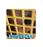 ふーちゃんスタンプ0701vol.2（個別スタンプ：7）
