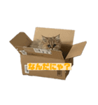 むんstamp1（個別スタンプ：3）