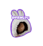 TN家のうさぎまろん（個別スタンプ：2）