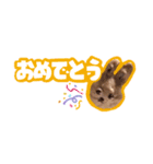 TN家のうさぎまろん（個別スタンプ：8）