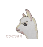 アルパカ軍団（個別スタンプ：4）