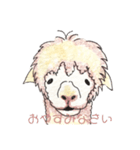 アルパカ軍団（個別スタンプ：6）
