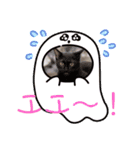 ローラちゃんとロイくん⑤（個別スタンプ：5）