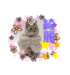 ローラちゃんとロイくん⑤（個別スタンプ：7）