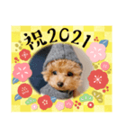 ねむさーん（個別スタンプ：1）