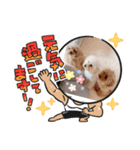 ねむさーん（個別スタンプ：2）