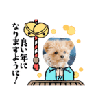 ねむさーん（個別スタンプ：3）