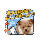 ねむさーん（個別スタンプ：4）