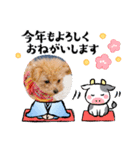 ねむさーん（個別スタンプ：5）