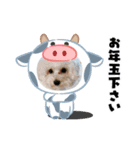 ねむさーん（個別スタンプ：8）