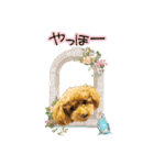 たるとちゃん①（個別スタンプ：11）