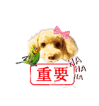 たるとちゃん①（個別スタンプ：16）
