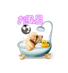 たるとちゃん①（個別スタンプ：20）
