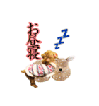 たるとちゃん①（個別スタンプ：22）