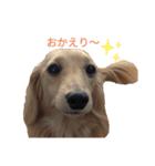 ツナぴよ④（個別スタンプ：7）