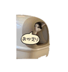 ユンくんスタンプ 2（個別スタンプ：6）