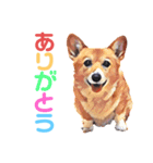 corgi-10.part5（個別スタンプ：6）