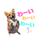 corgi-10.part5（個別スタンプ：8）