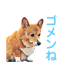 corgi-10.part5（個別スタンプ：9）