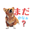 corgi-10.part5（個別スタンプ：15）