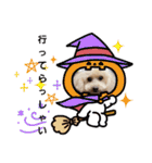 プードルキラミラちゃん（個別スタンプ：29）