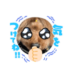 チェブ 4（個別スタンプ：7）