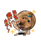 チェブ 4（個別スタンプ：8）