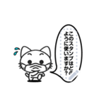 Funny cat message 7（個別スタンプ：7）