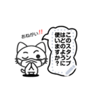 Funny cat message 7（個別スタンプ：13）