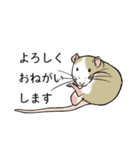 ファンシーラット飼育日記（個別スタンプ：32）