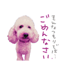 いろんな時に！犬と猫のスタンプ♪（個別スタンプ：12）