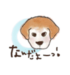 いろんな時に！犬と猫のスタンプ♪（個別スタンプ：24）