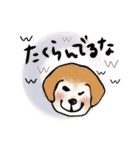 いろんな時に！犬と猫のスタンプ♪（個別スタンプ：28）