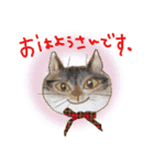 いろんな時に！犬と猫のスタンプ♪（個別スタンプ：36）