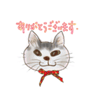 いろんな時に！犬と猫のスタンプ♪（個別スタンプ：40）