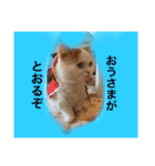 みいこちゃんスタンプ（個別スタンプ：5）