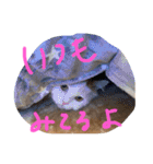 みいこちゃんスタンプ（個別スタンプ：6）