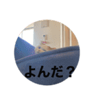 みいこちゃんスタンプ（個別スタンプ：7）