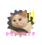みいこちゃんスタンプ（個別スタンプ：8）
