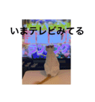 みいこちゃんスタンプ（個別スタンプ：9）