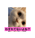 みいこちゃんスタンプ（個別スタンプ：10）