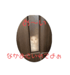みいこちゃんスタンプ（個別スタンプ：13）