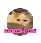 みいこちゃんスタンプ（個別スタンプ：14）