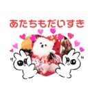 【シュシュ看板犬スタンプ】みるく（個別スタンプ：3）