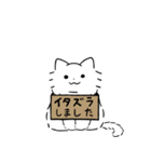 長毛白にゃんこ3（個別スタンプ：34）