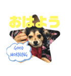 ちわっくすのラムちゃん（個別スタンプ：4）